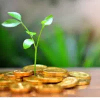 سرمایه گذاری ، شریک، شراکت ، مشارکت ،۳تا۶میلیارد
