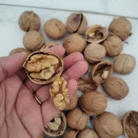 گردو پوست نازک وکاغذی|خوردنی و آشامیدنی|قم, سید معصوم|دیوار