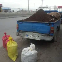 کودگاوی وگوسفندی واسبی وخاک باغچه