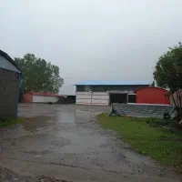 کارگر ساده|استخدام صنعتی، فنی، مهندسی|بندر انزلی, لیچارگی حسن رود|دیوار