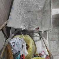 یک عدد فرغون سالم مفد