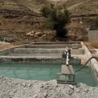فروش کارگاه موزائیک سازی فعال|فروش دفتر صنعتی، کشاورزی، تجاری|مسجد سلیمان, |دیوار
