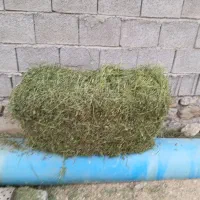 فروش پرس یونجه