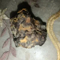 شهاب سنگ|کلکسیون اشیاء عتیقه|تهران, هلال احمر|دیوار