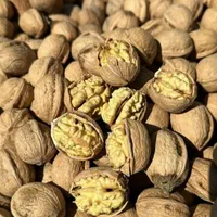 ۱۸۰۰مترباغ جفت کانال،هرمتر۵۸۰ هزار،اولین پلاک|فروش زمین و ملک کلنگی|نهاوند, |دیوار