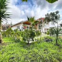 ویلا-باغ-شرایط-پرداخت-باور-نکردنی-سنددار