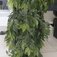 مجسمه.گل.درختچه.سبزه مصنوعی|گل مصنوعی|سبزوار, نواب صفوی|دیوار