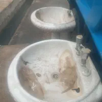 روشویی|لوازم سرویس بهداشتی|دزفول, |دیوار