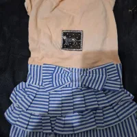 وسایل مورد نیاز فرشته هاتون زیر قیمت|لوازم جانبی حیوانات|رشت, کاکتوس|دیوار