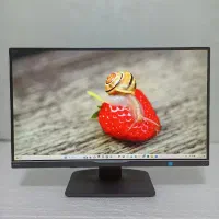 مانیتور 25 اینچ فیلیپس رزولوشن 2K(مناسب گیم،طراحی)