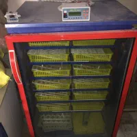 دستگاه جوجه کشی نو نو