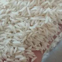 برنج هاشمی معطر کیسه سبز کیلو 135هزارتومان|خوردنی و آشامیدنی|اسلام‌شهر, شهرک سالور|دیوار