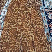 تعدادی مجلسی