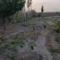 زمین برای خونه باغ