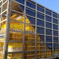 اتاق مرغی ایسوزو هشت تن|خودرو سنگین|مرند, |دیوار