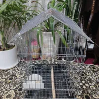 قفس استیل محکم با کاور