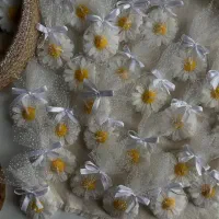 گیفت بابونه