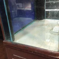 آکواریوم شیشه خم باکمد مین جیانگ قهوه ای یک متری|ماهی|کرمان, |دیوار