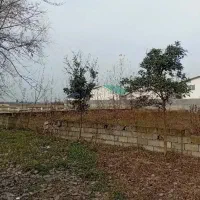 زمین*شرایط پرداخت امن و راحت  محصور شده