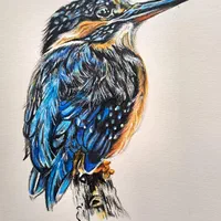 آموزش و پذیرش سفارش نقاشی (ویژه بانوان)|خدمات آموزشی|مشهد, جاهد شهر|دیوار