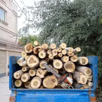 خرید چوب باغی