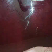 گیتار آکوستیک حرفه ای Aria AGP - 001N ساخت ژاپن|گیتار، بیس، امپلیفایر|شاهینشهر, خانه کارگر|دیوار