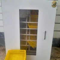 دست گاه جوجه کشی