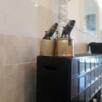 چراغ پیرموسی اصل