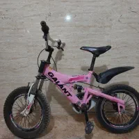 دوچرخه۱۶ جاینت