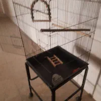قفس پرنده