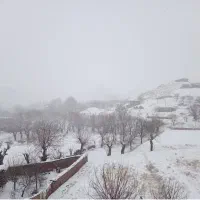 خونه-اجاره-ای-توضیحات