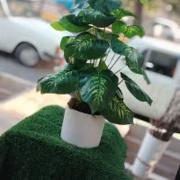 درختچه های مصنوعی‌.گیرین وال .چمن مصنوعی|گل مصنوعی|اصفهان, شهرستان|دیوار