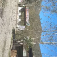 اجاره یک ساله یا بیشتر