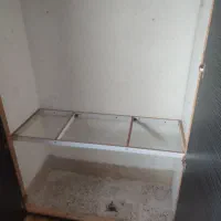 تعمیر وساخت|خدمات پیشه و مهارت|بوشهر, |دیوار