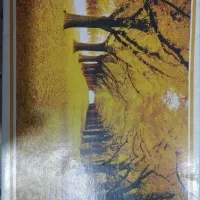 پازل1000تیکه