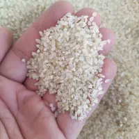 خرده برنج اصل کامفیروز ب شرط پخت