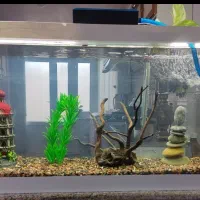 شیشه آکواریوم