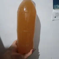 سرکه سیب