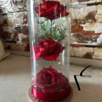 چینی خانگی|ظروف سرو و پذیرایی|رشت, پاره بیجار|دیوار