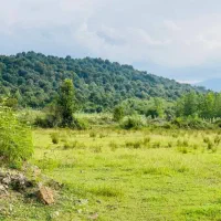 فروش زمین برا گردشگری با ۳۰میلیارد وام|فروش زمین و ملک کلنگی|شفت, |دیوار