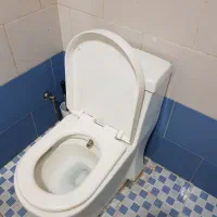 توالت فرنگی|لوازم سرویس بهداشتی|تبریز, |دیوار