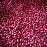 پخش عمده حبوبات برنج تخمه ادویه جات اصفهان