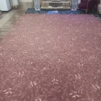 موکت پالاز ۱۸متر
