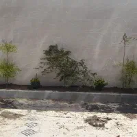 خدمات تخصصی باغبانی و فضای سبز|خدمات باغبانی و درختکاری|بندر انزلی, کارآموزی|دیوار