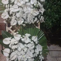 تاج گل طبیعی