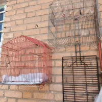 دوعددقفس پرنده هردوتاش ۸۰۰