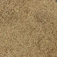 حبوبات ، نخود ، عدس ، لوبیا چیتی هندی|خوردنی و آشامیدنی|تربتحیدریه, آغوی|دیوار