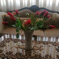 لوازم منزل.گل مصنوعی فنجون.پیشدستی. سطل وجادستمال