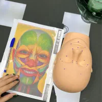 آموزش فیشال