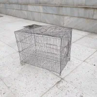 قفس جا قناری|لوازم جانبی حیوانات|دورود, |دیوار